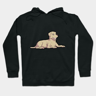 Labrador Retriever Hoodie